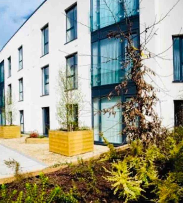 Ormeau Road Stylish Double Bedroom Luxury Apartment Belfast Zewnętrze zdjęcie
